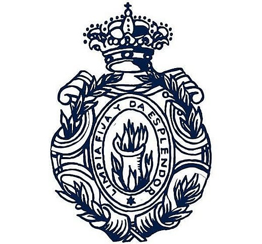 Participación en la RAE