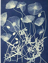 Thomas Wedgwood i Humphry Davy