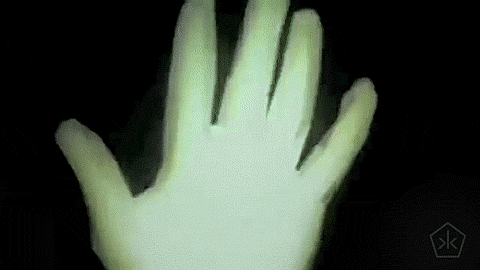 A Computer Animated Hand