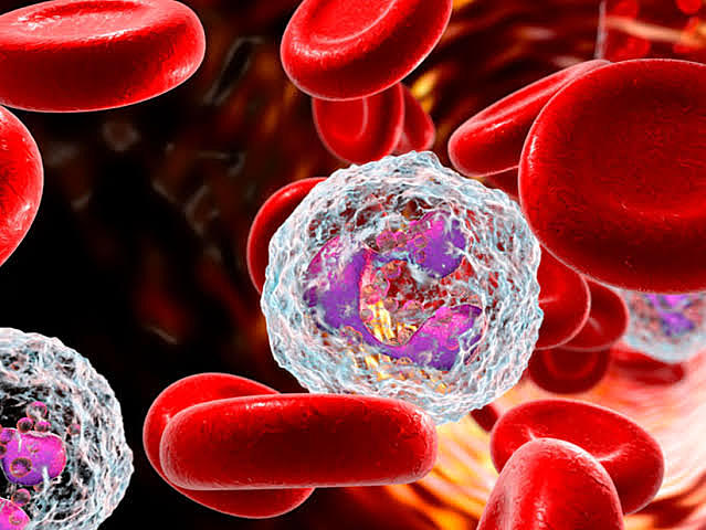 desarrollo de la inmunología