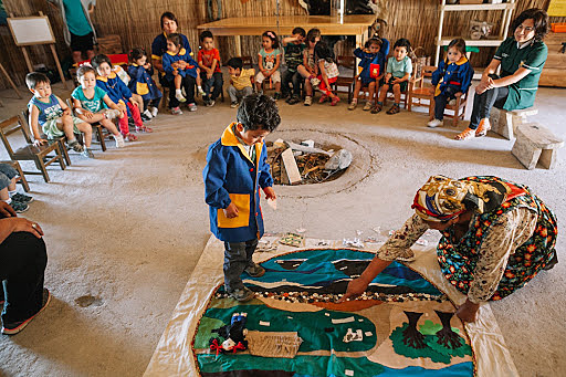 Decreto 1088 de 1993