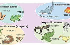 SEMANA 2 Primera Sesión