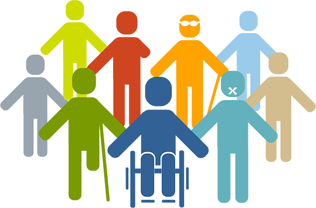 La Ley General de la Discapacidad (LGD) 2013