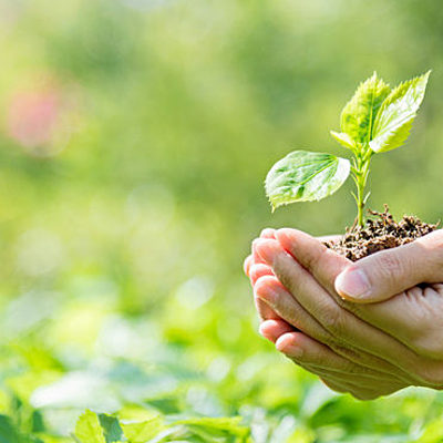 Timeline: LA EVOLUCIÓN DEL MEDIO AMBIENTE