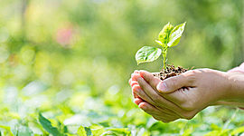 Timeline: LA EVOLUCIÓN DEL MEDIO AMBIENTE