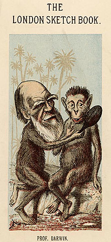 Evolucionismo e iglesia