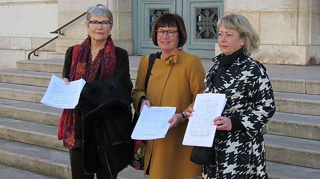 Remise de la pétition au maire de Chalon