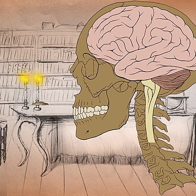 Timeline: El pensamiento de la Ilustración y sus principales representantes