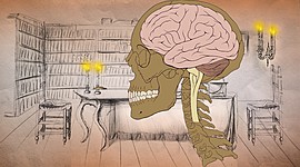 Timeline: El pensamiento de la Ilustración y sus principales representantes