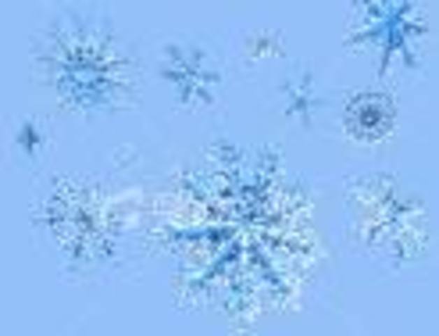 Three inch fall of snow