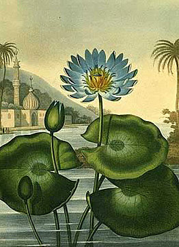 Egyptians 2800 - 28 B.C