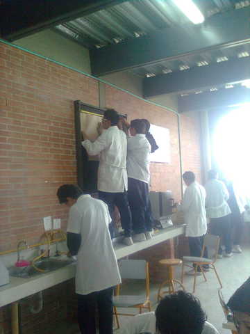 estoy estudiando analisis