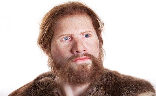 Homo Sapiens Sapiens