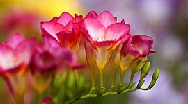 Timeline: Historia y evolución de la PC