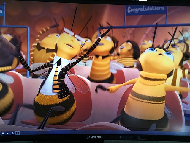 Graduate from bee college