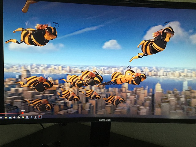 Berry leaves the hive for the first time ever