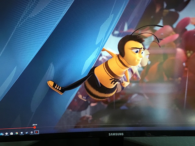 Berry gets stuck in a house