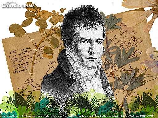 Relación entre los fenómenos naturales.