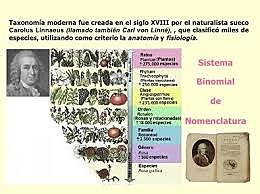 Carlos Linneo sentó las bases de la taxonomía moderna