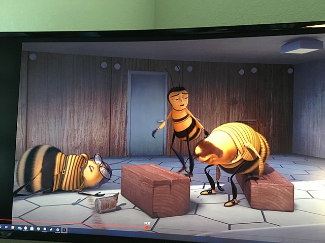 Berry finds out the place where the steal the honey from bees