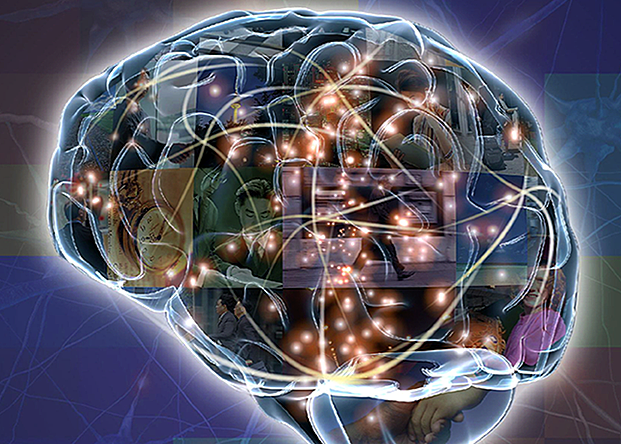 SURGE LA NEUROCIENCIA