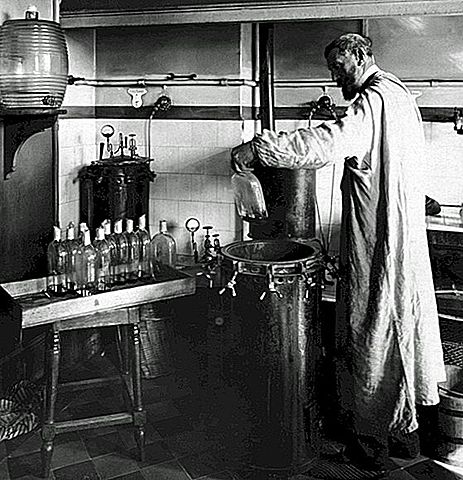Louis Pasteur descubre la pasteurización