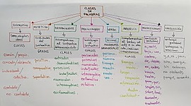 Timeline: la conquista