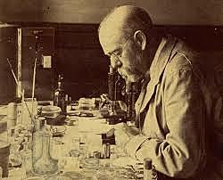 Robert Koch descubre el bacillo de la tuberculosis, considerado el fundador de la bacteriología