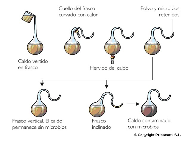 John Tyndall confirma teoría de la biogénesis