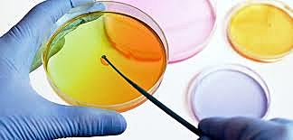 RICHARD PETRI introduce el uso de las placas petri en microbiología