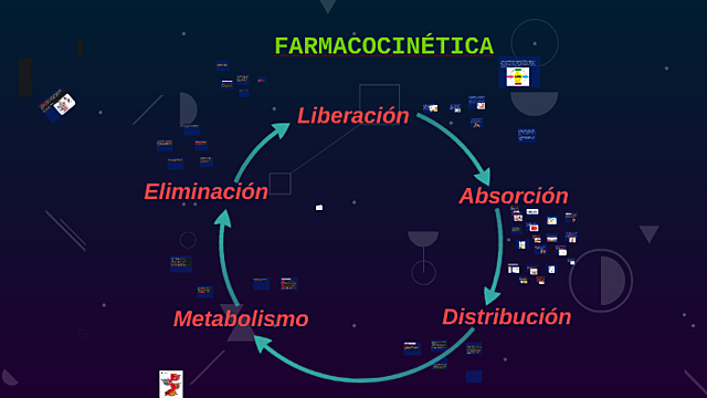 Farmacocinética