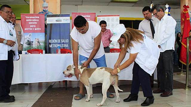 Farmacoepidemiología