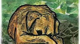 Timeline: Historia Crítica de la Psicología