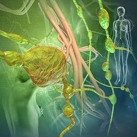 Se empezó a implantar la poliquimioterapia