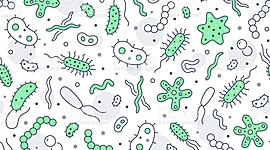 Timeline: LINEA DEL TIEMPO DE LA MICROBIOLOGÍA