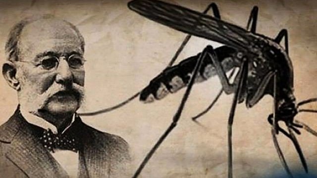 Carlos Finlay -  Observa que la fiebre amarilla se transmite mosquitos