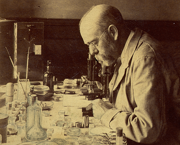 Robert Koch- Descubre: Mycobacterium tuberculosis.
