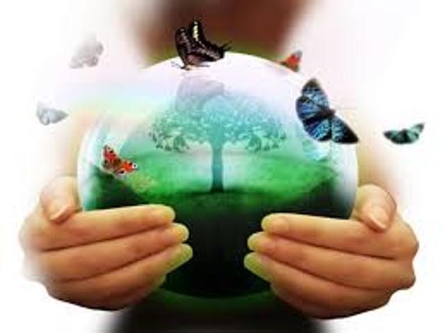 Elaboración del Plan de Acción para Medio Ambiente en América Latina y el Caribe