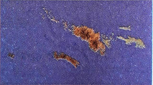 Era Mesozoica/Secundaria