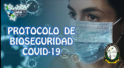 Resolución 000666 del 2020