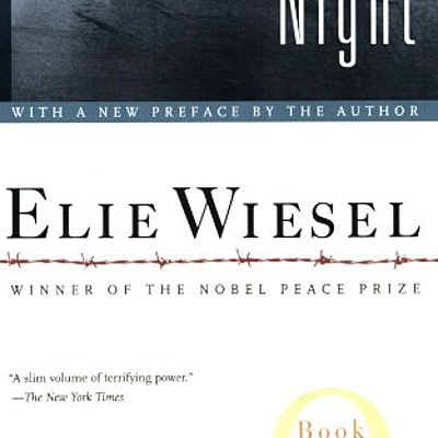 Timeline: Night Timeline - Loren Rice