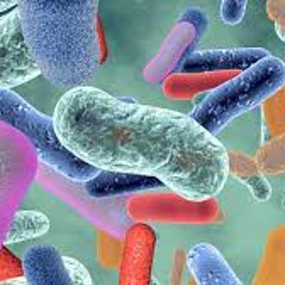 Timeline: Desarrollo histórico de biorreactores