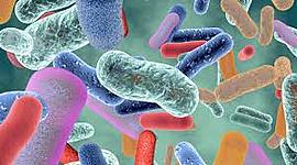 Timeline: Desarrollo histórico de biorreactores