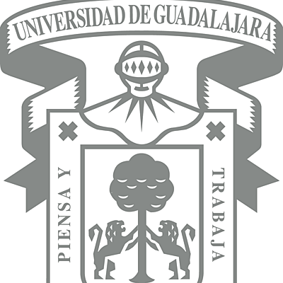 Timeline: Evolución de ALFIN