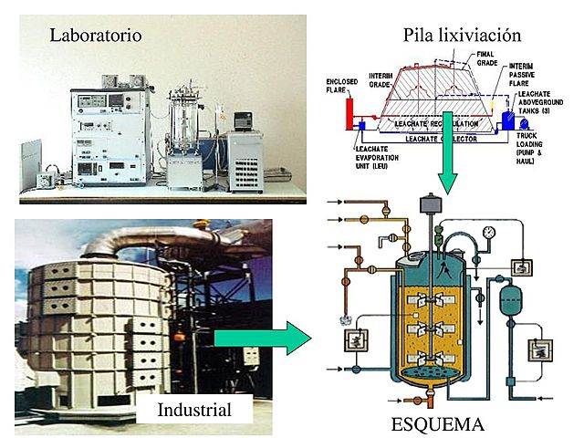 Biolixivación por tanque agitado
