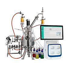 Nuevos biorreactores de mesa