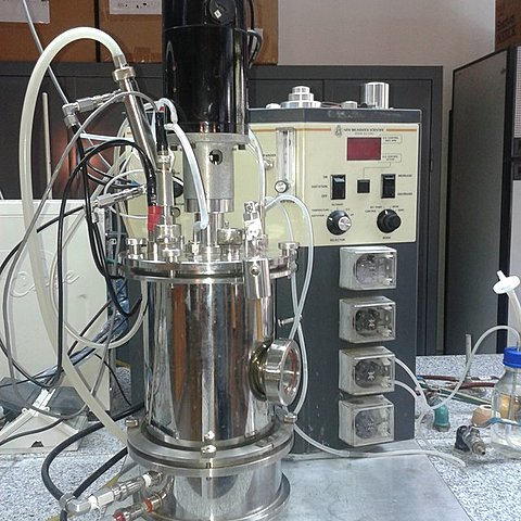 Biorreactor para la vacuna de la rabia