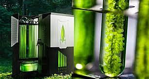 Biorreactor de algas y biocombustibles