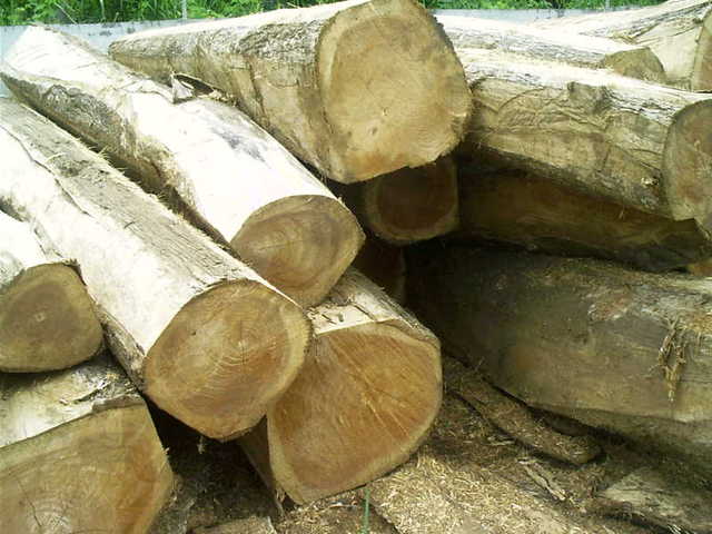 Wood Energy
