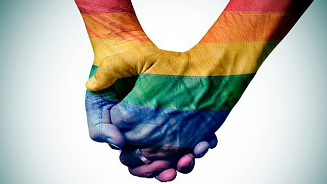 La Corte Constitucional - Comunidad LGBT